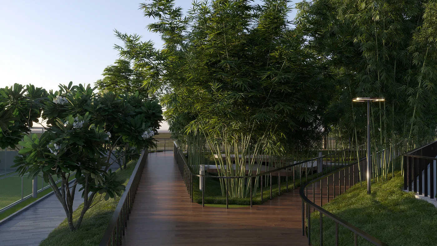 Bamboo Walking Trail