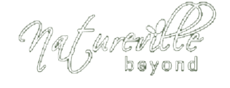 Natural Beyond